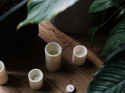 Green plant in a minimalist yoga studio